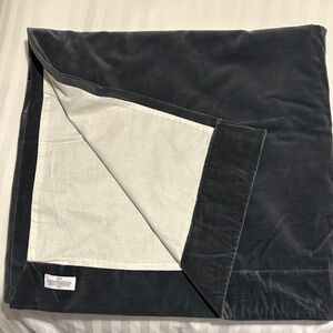 Restoration Hardware 2 panels Velvet Curtain.